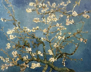 69-Mandelblüten